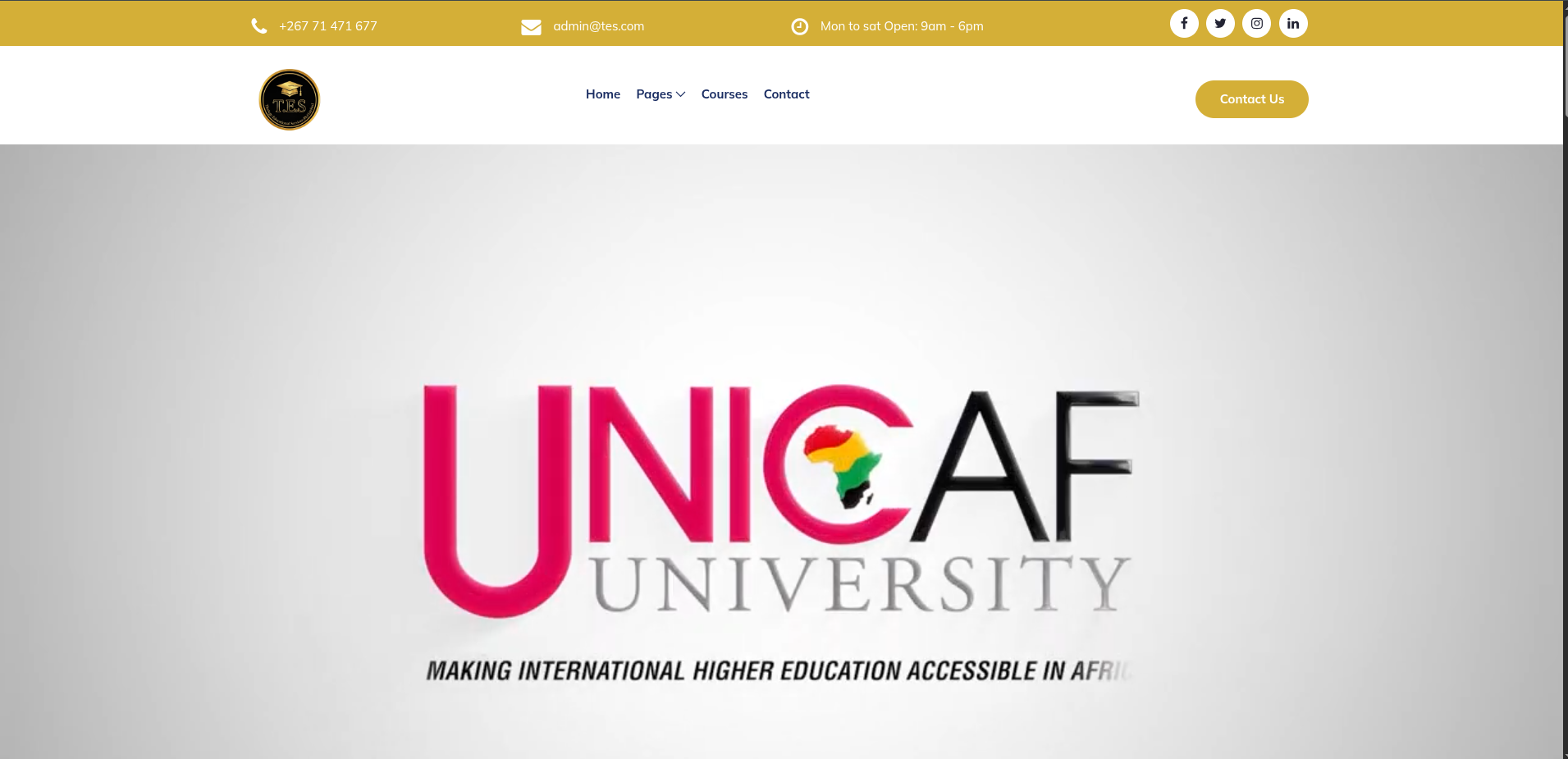 TES Unicaf website project